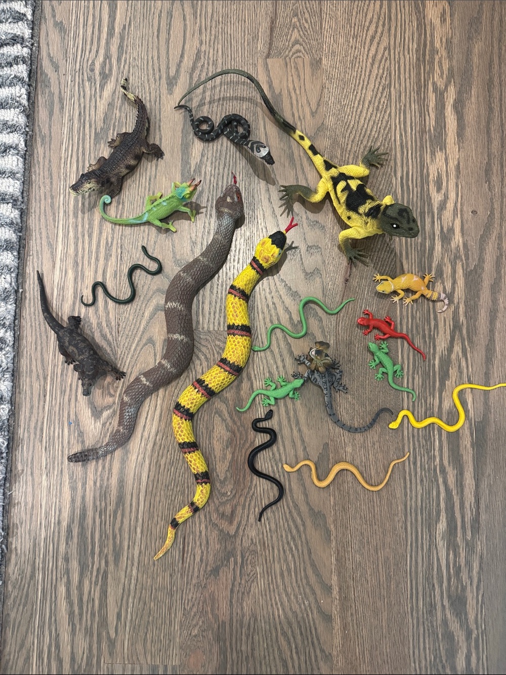 Assorted Kids' Reptile & Snake Figure Playset - Yellow, Green, Black, Brown